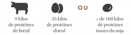 1 hectare permet de produire